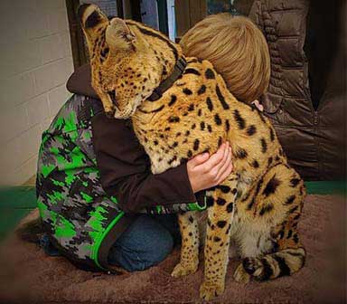 safari zoo camp ontario