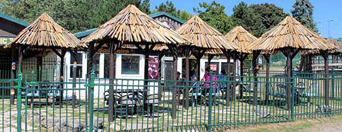 safari zoo camp ontario